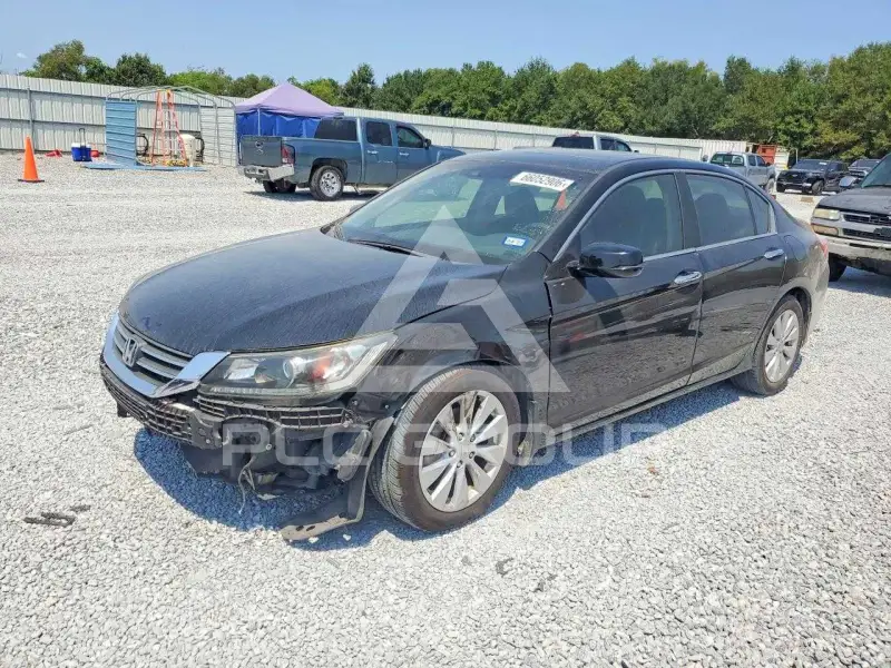 2013 Honda Accord photo