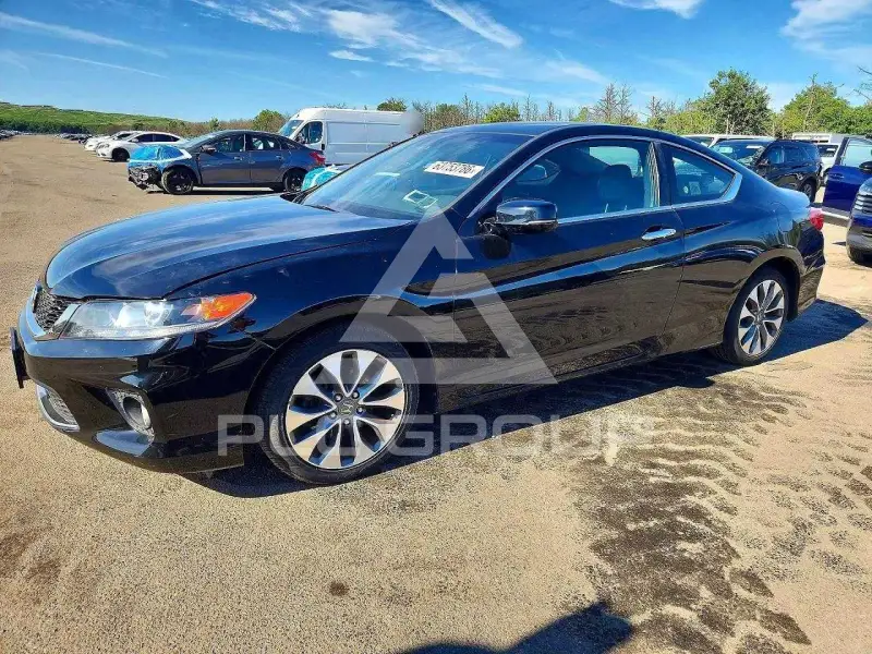 2013 Honda Accord photo