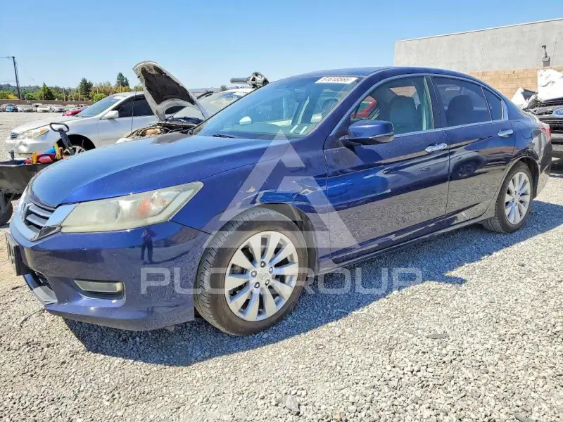 2013 Honda Accord photo