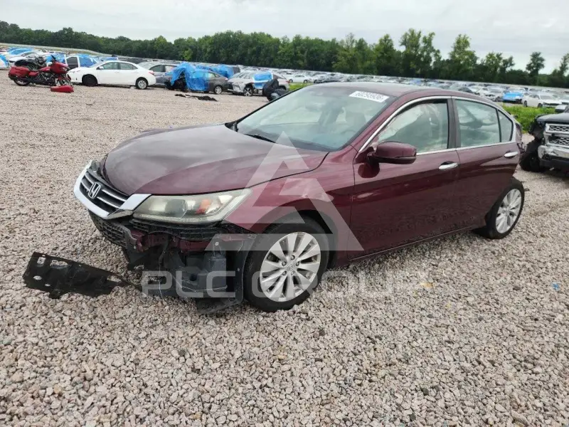 2013 Honda Accord photo