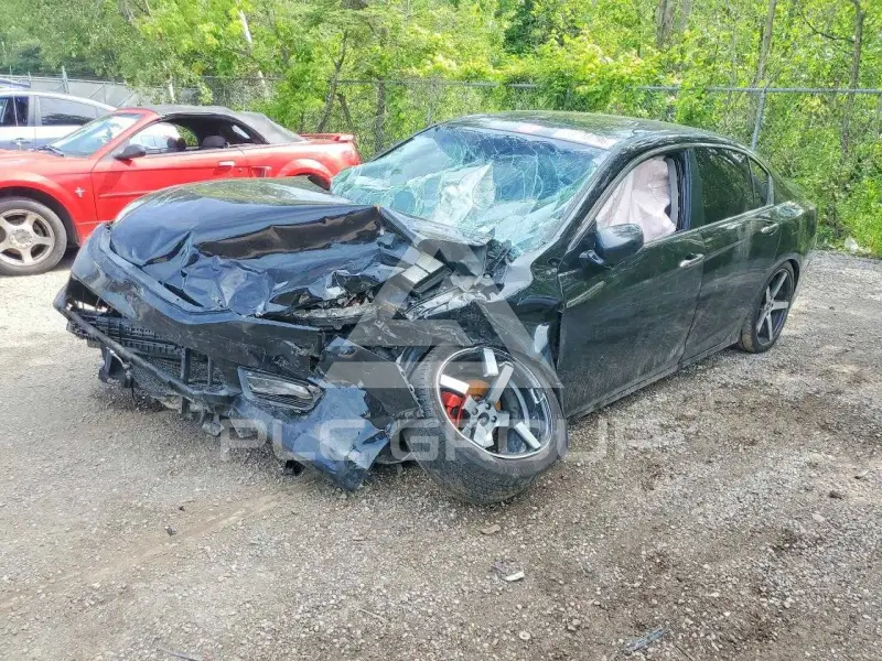 2013 Honda Accord фото