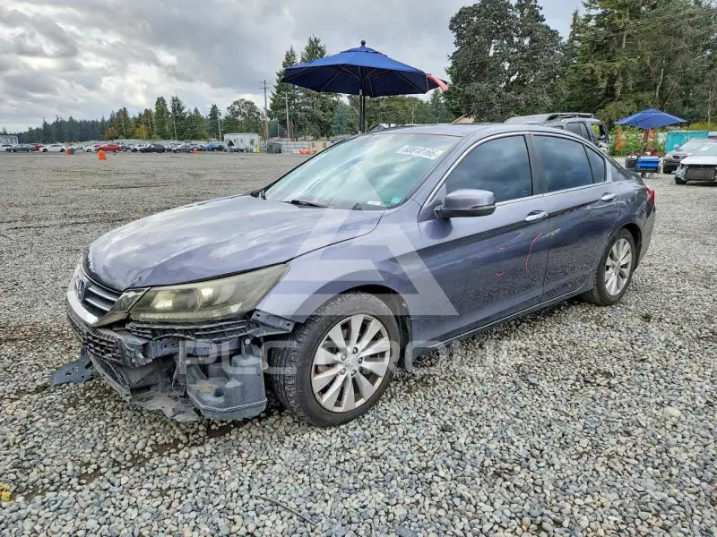2013 Honda Accord photo