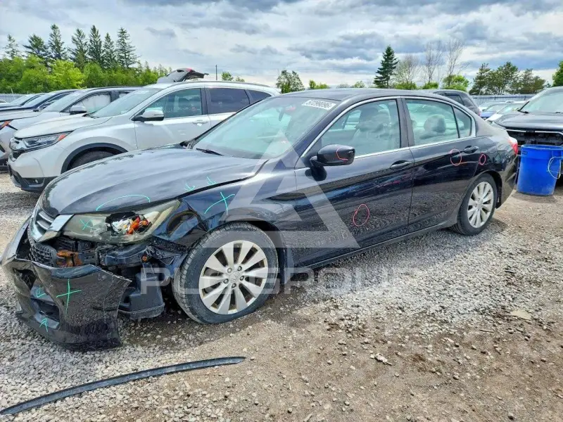 2013 Honda Accord photo