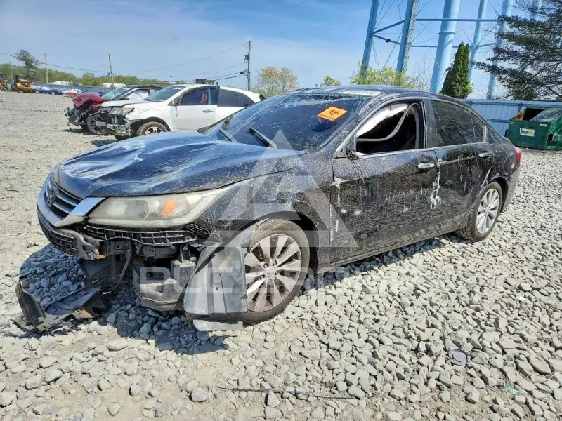2013 Honda Accord фото