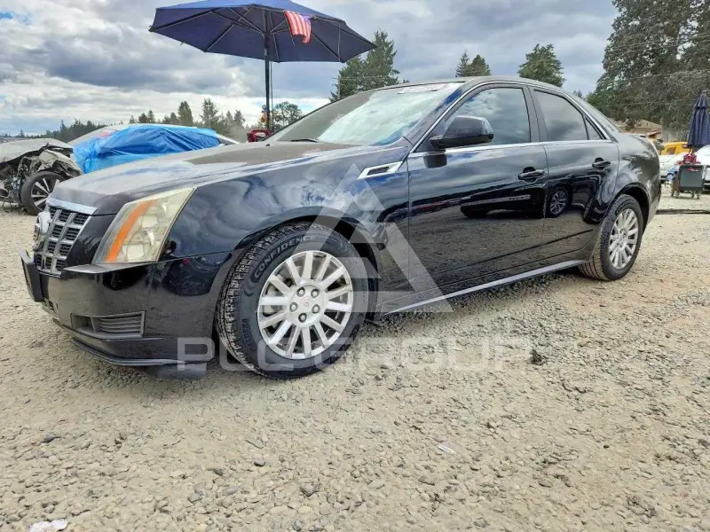 2013 Cadillac CTS фото