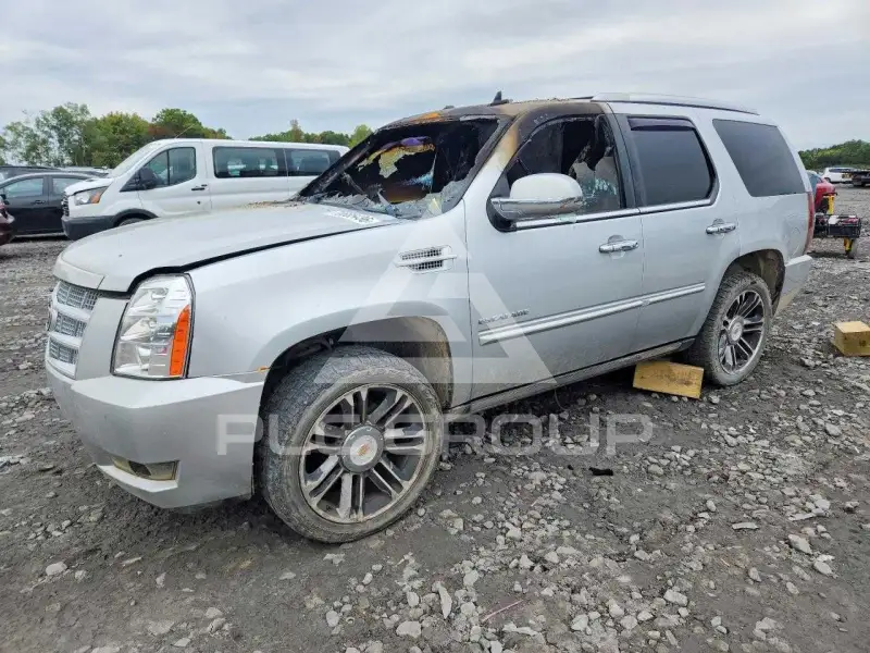 2013 Cadillac ESCALADE фото