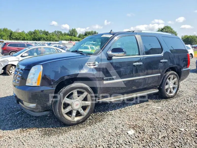 2013 Cadillac ESCALADE фото