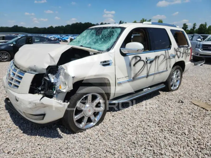2013 Cadillac ESCALADE фото
