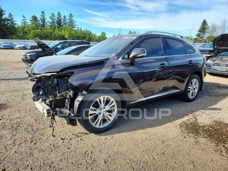 2013 Lexus RX350 photo