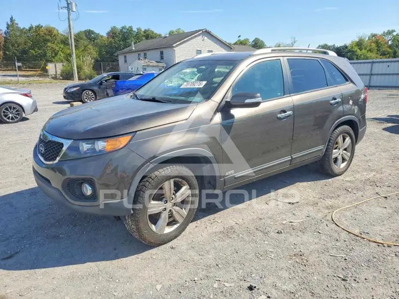 2013 KIA Sorento фото