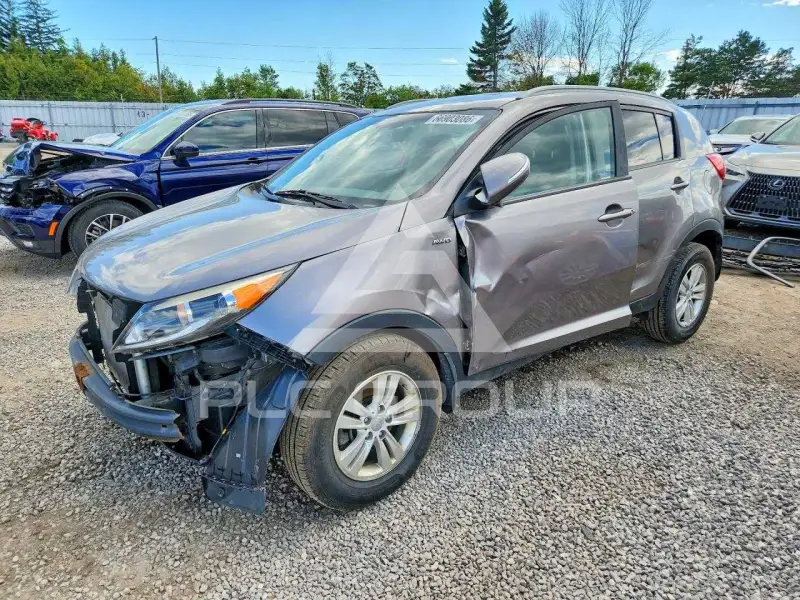 2013 KIA Sportage фото