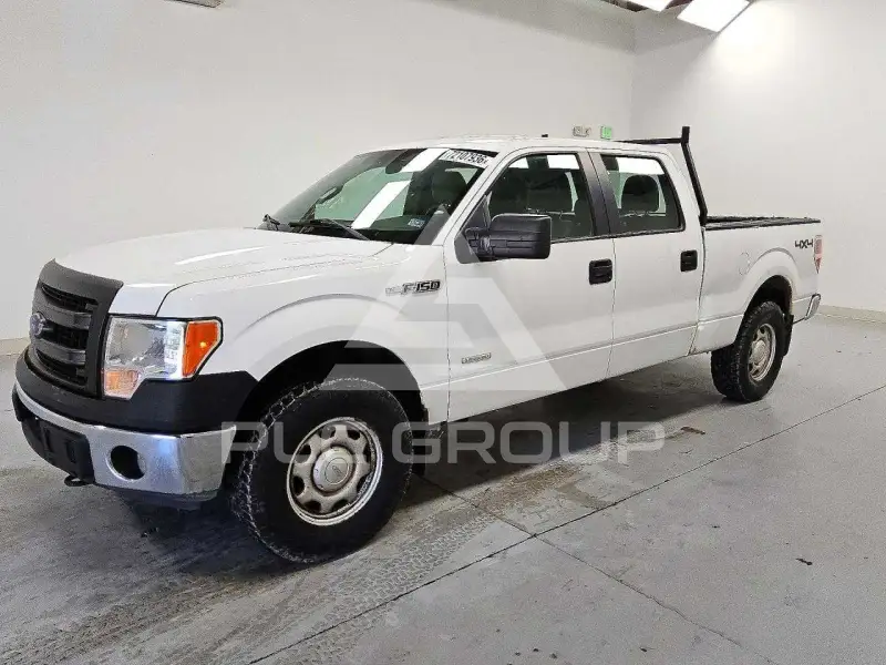 2013 Ford F-150 photo