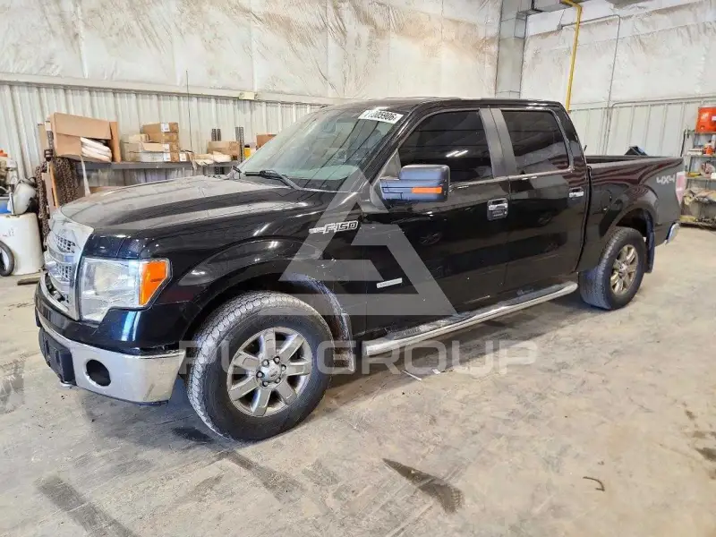 2013 Ford F-150 photo