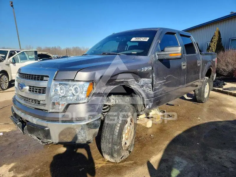 2013 Ford F-150 photo