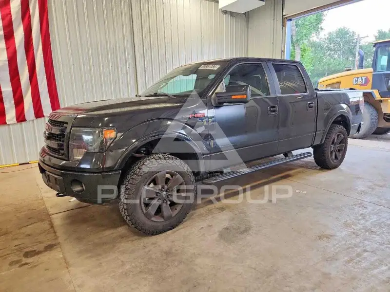 2013 Ford F-150 photo