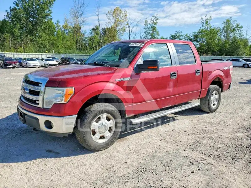 2013 Ford F-150 photo