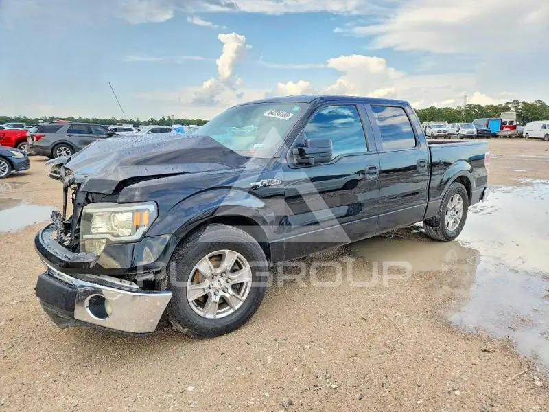 2013 Ford F-150 photo