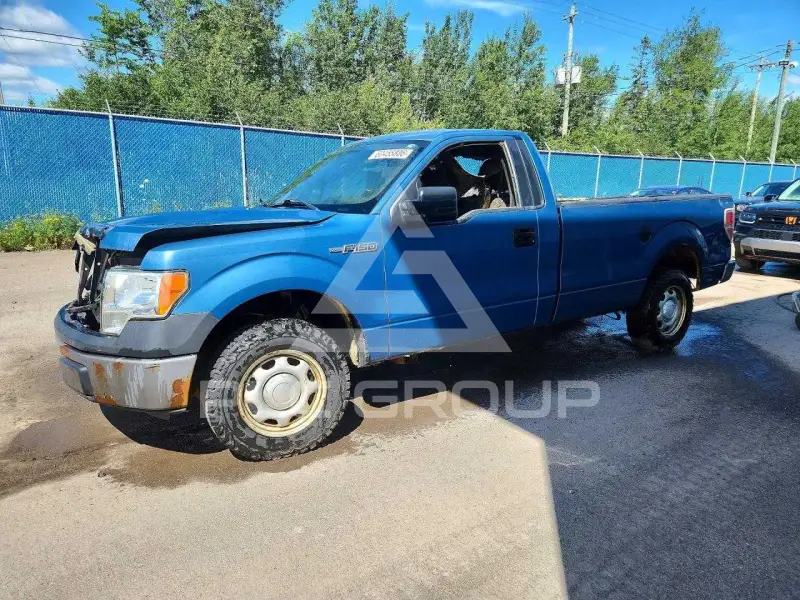 2013 Ford F-150 photo