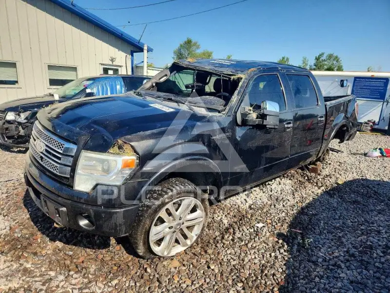 2013 Ford F-150 photo