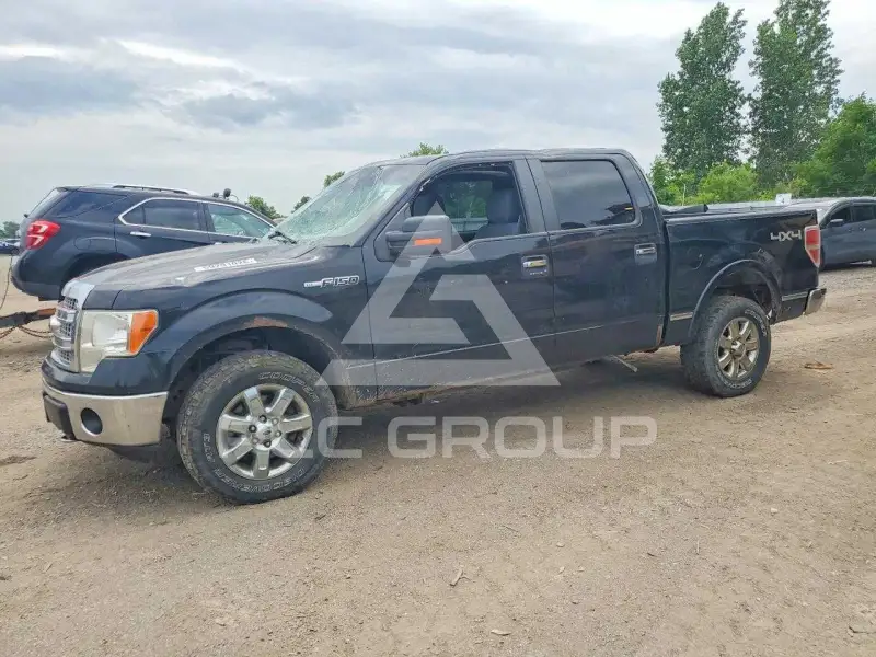 2013 Ford F-150 photo