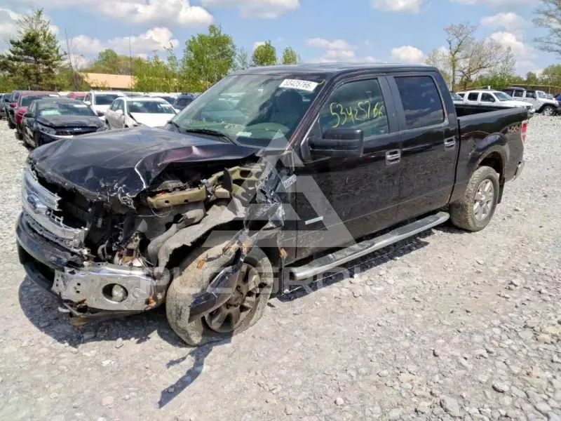 2013 Ford F-150 photo