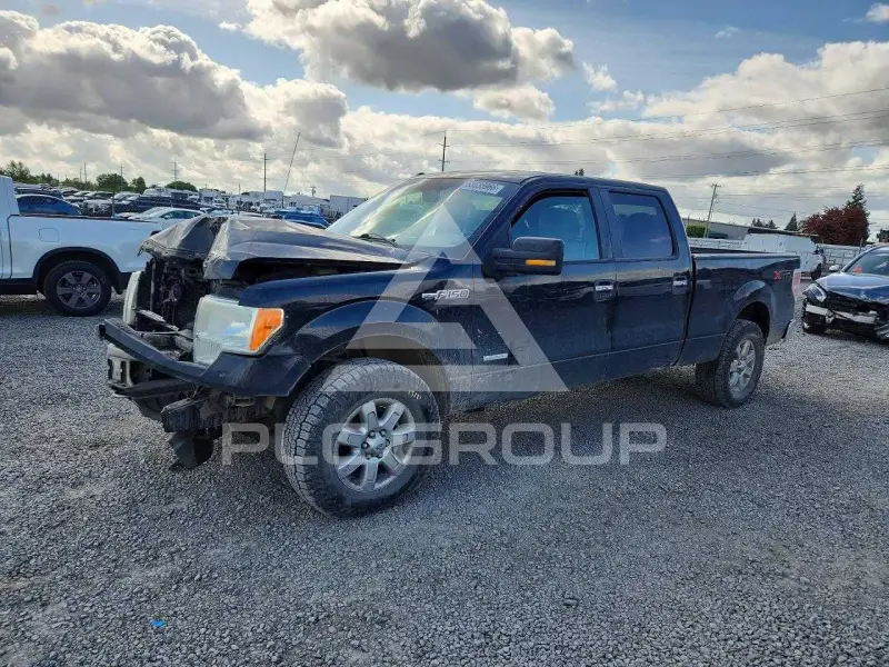 2013 Ford F-150 photo