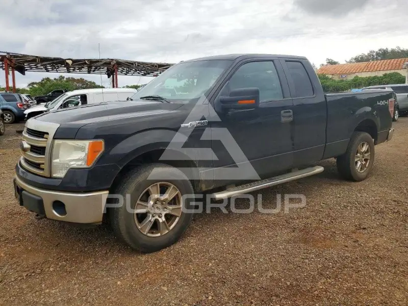 2013 Ford F-150 photo