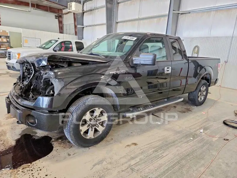 2013 Ford F-150 photo