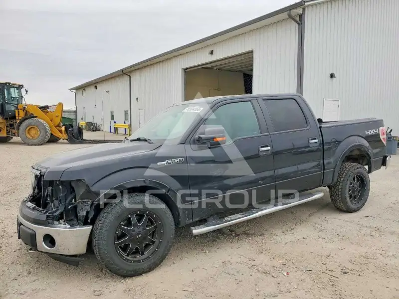 2013 Ford F-150 photo