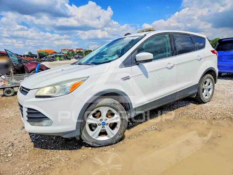 2013 Ford ESCAPE photo