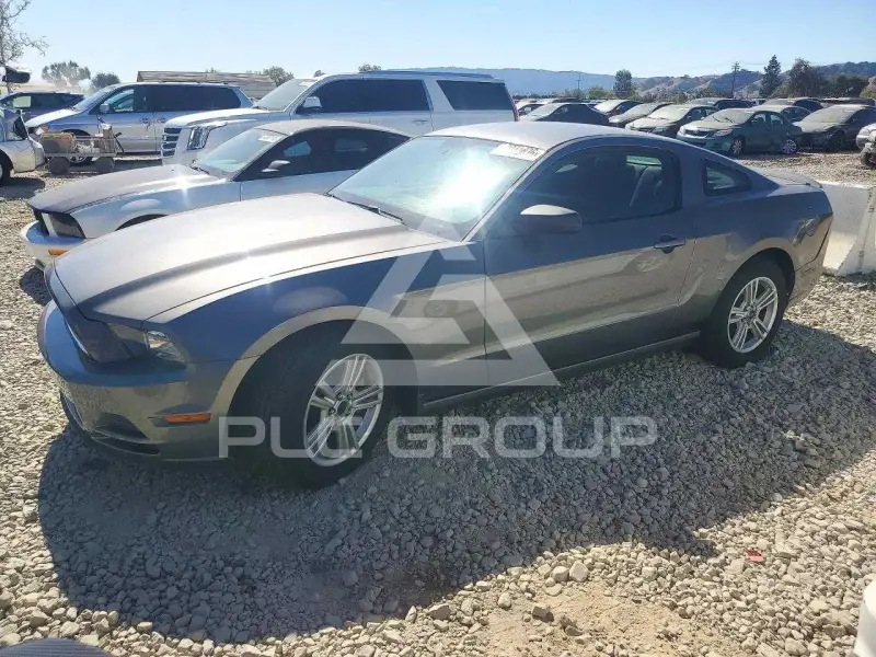 2013 Ford MUSTANG фото