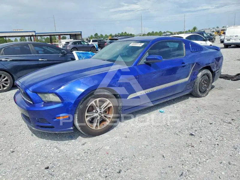 2013 Ford MUSTANG photo
