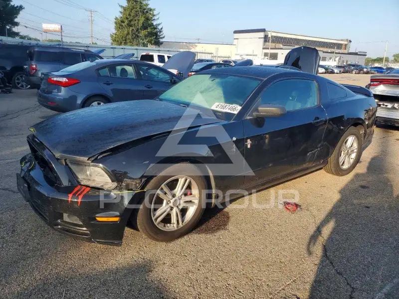 2013 Ford MUSTANG фото