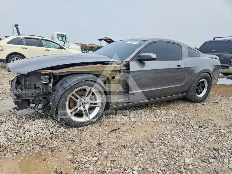 2013 Ford MUSTANG photo