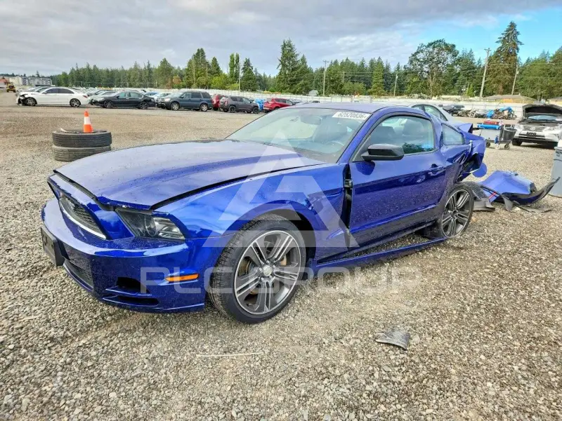 2013 Ford MUSTANG photo