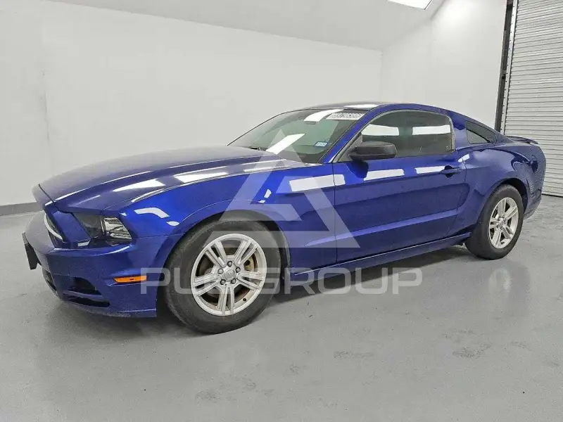 2013 Ford MUSTANG фото