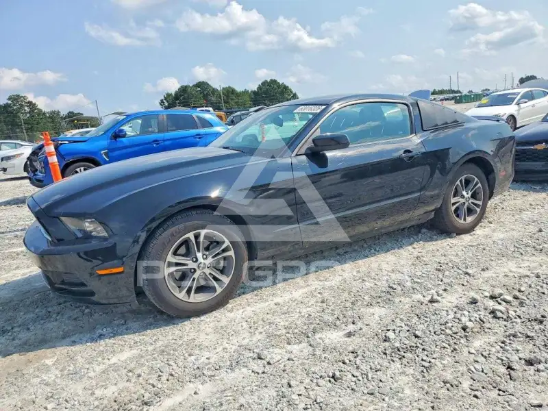 2013 Ford MUSTANG фото