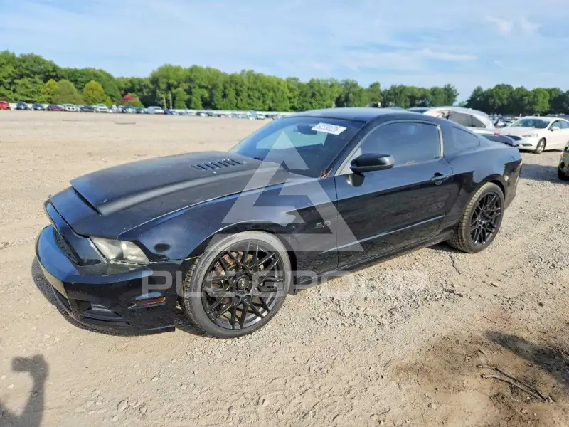 2013 Ford MUSTANG фото