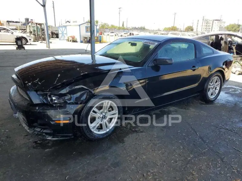2013 Ford MUSTANG photo