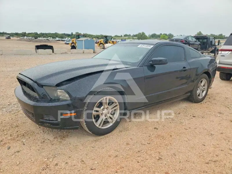 2013 Ford MUSTANG photo