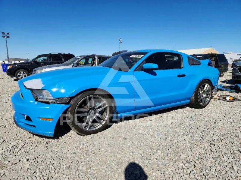 2013 Ford MUSTANG фото
