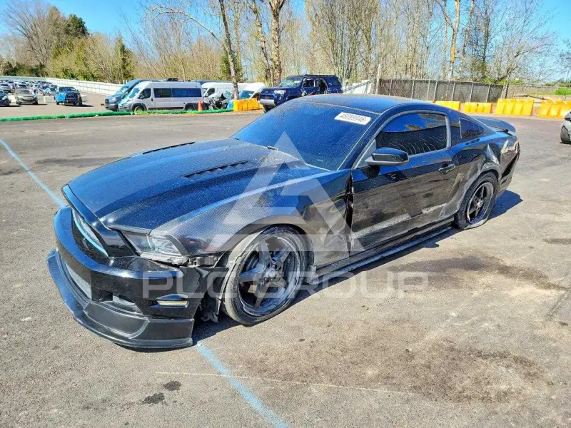 2013 Ford MUSTANG фото