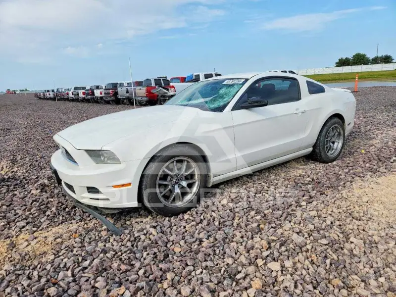 2013 Ford MUSTANG photo