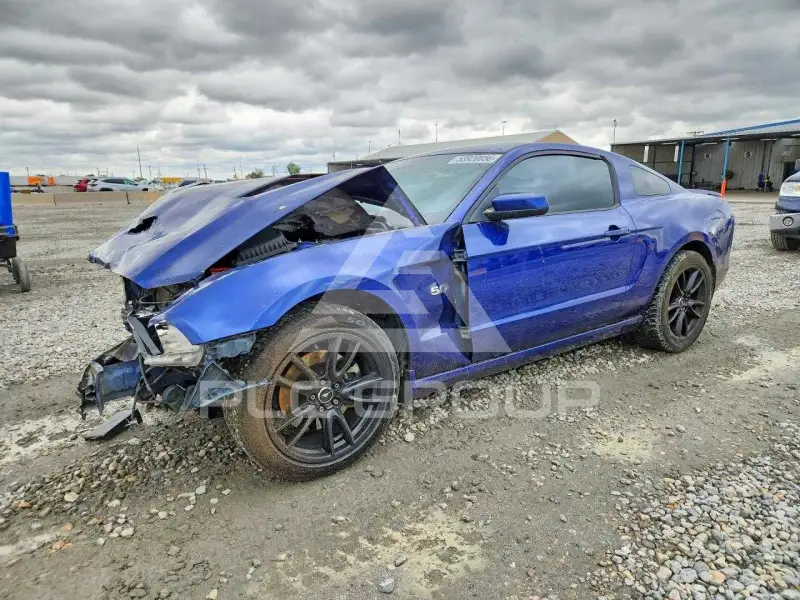 2013 Ford MUSTANG фото