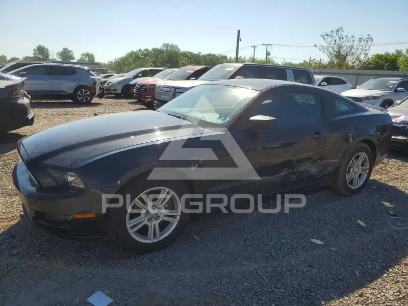 2013 Ford MUSTANG фото