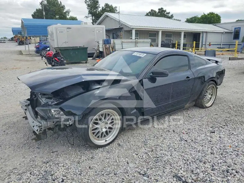 2013 Ford MUSTANG фото