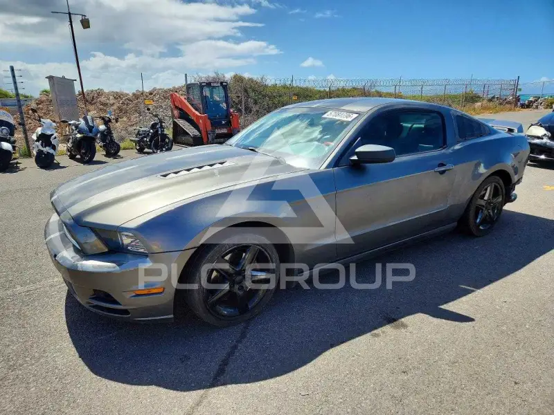 2013 Ford MUSTANG фото