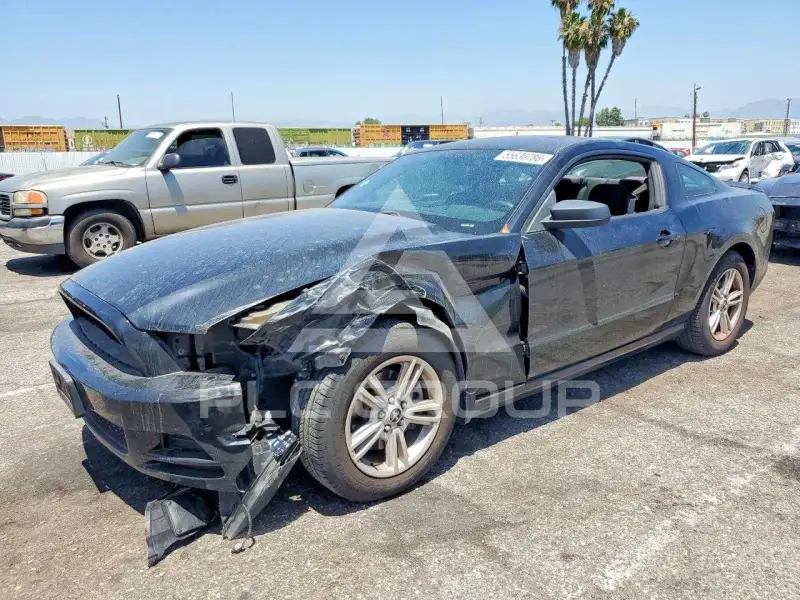 2013 Ford MUSTANG фото