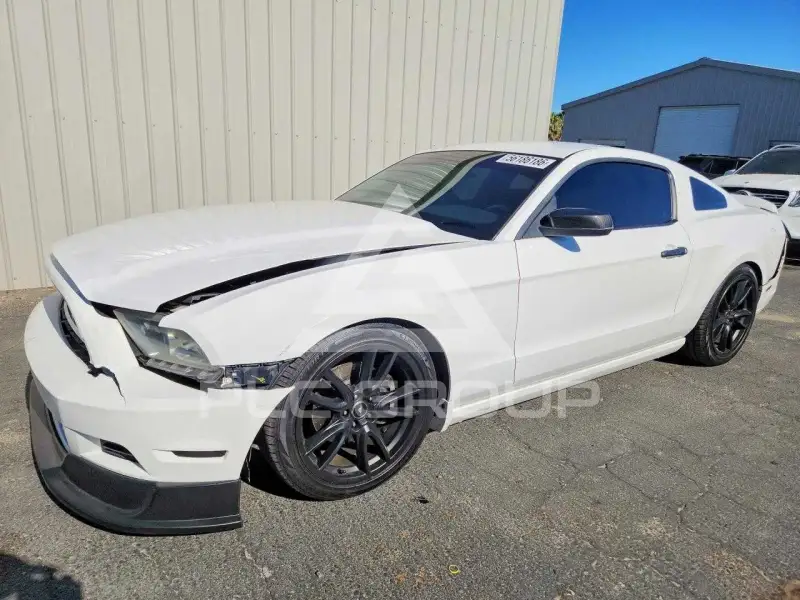 2013 Ford MUSTANG photo