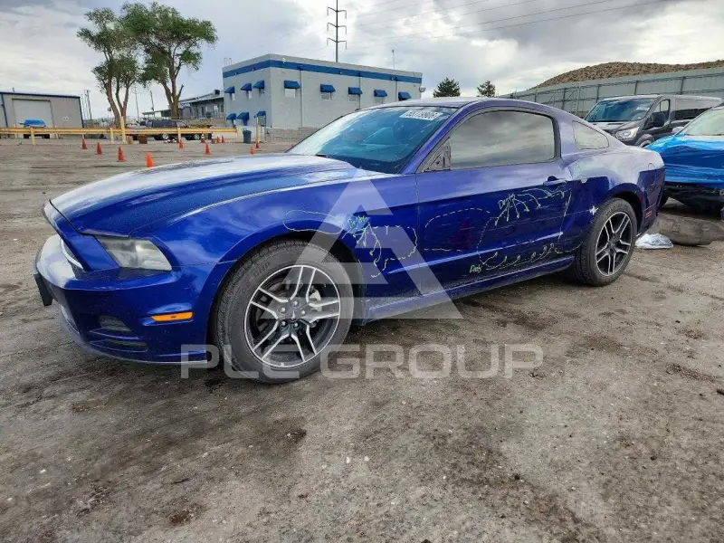 2013 Ford MUSTANG фото
